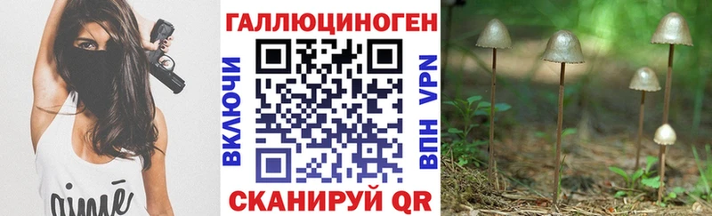 KRAKEN ССЫЛКА  Кизилюрт  маркетплейс состав  Галлюциногенные грибы MAGIC MUSHROOMS 