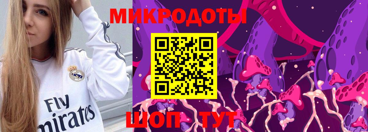 Кизилюрт  Псилоцибиновые грибы мицелий  Вход с VPN  Галлюциногенные грибы Cubensis 