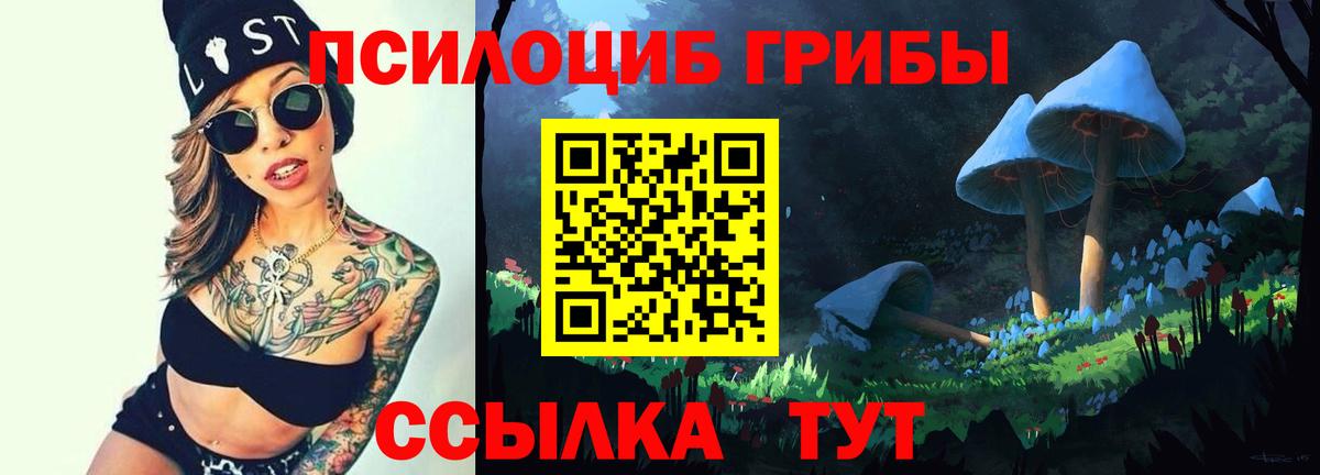 Галлюциногенные грибы MAGIC MUSHROOMS Кизилюрт